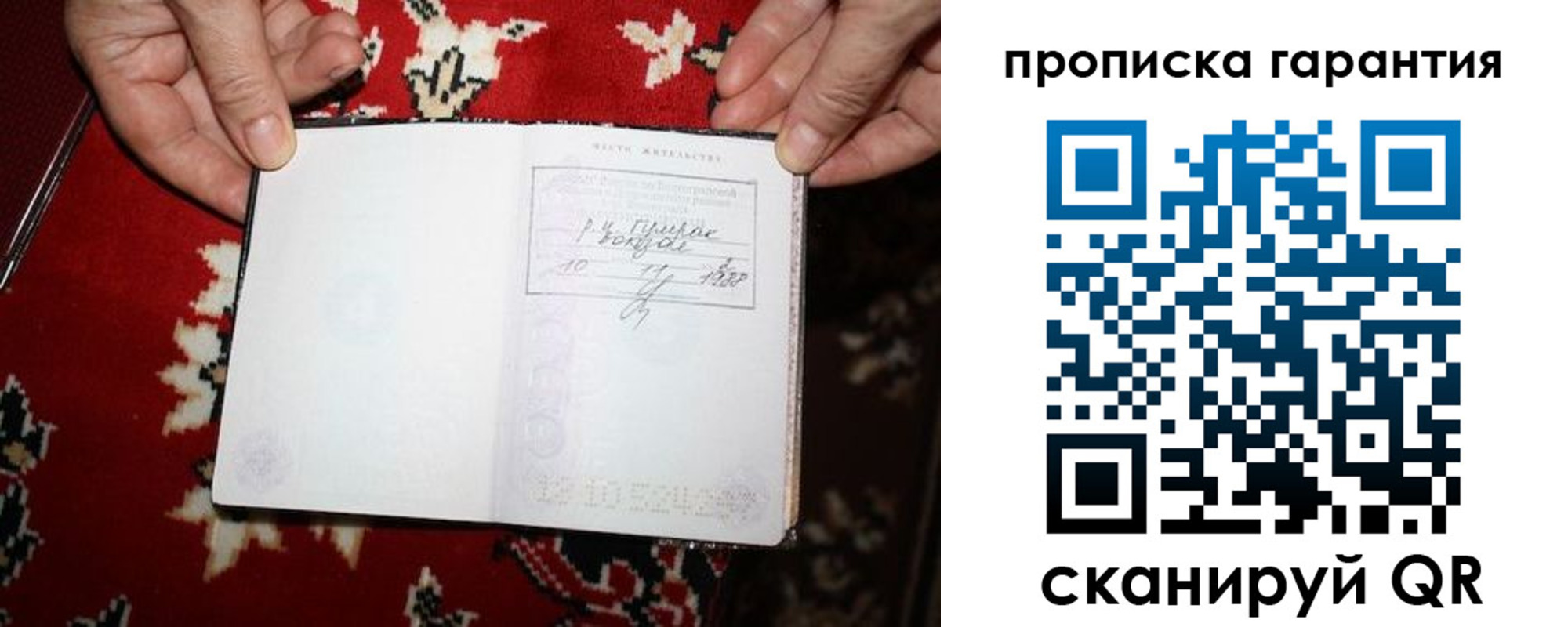 прописка гарантия в Мончегорске