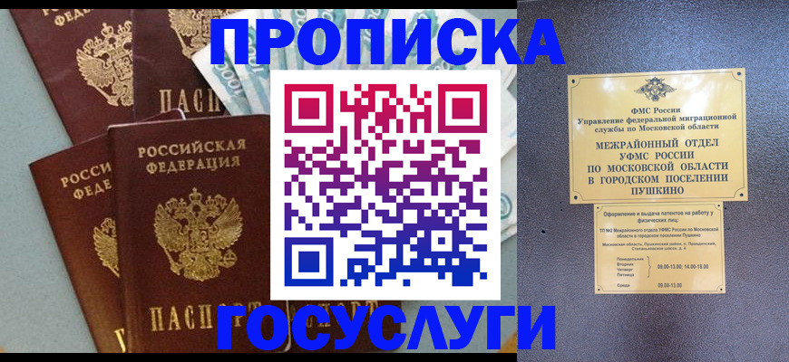 прописка гарантия в Мончегорске